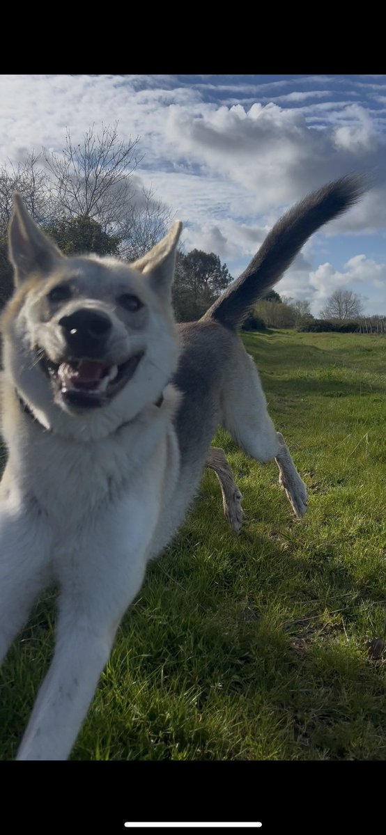 marinette 🪷 tweet media