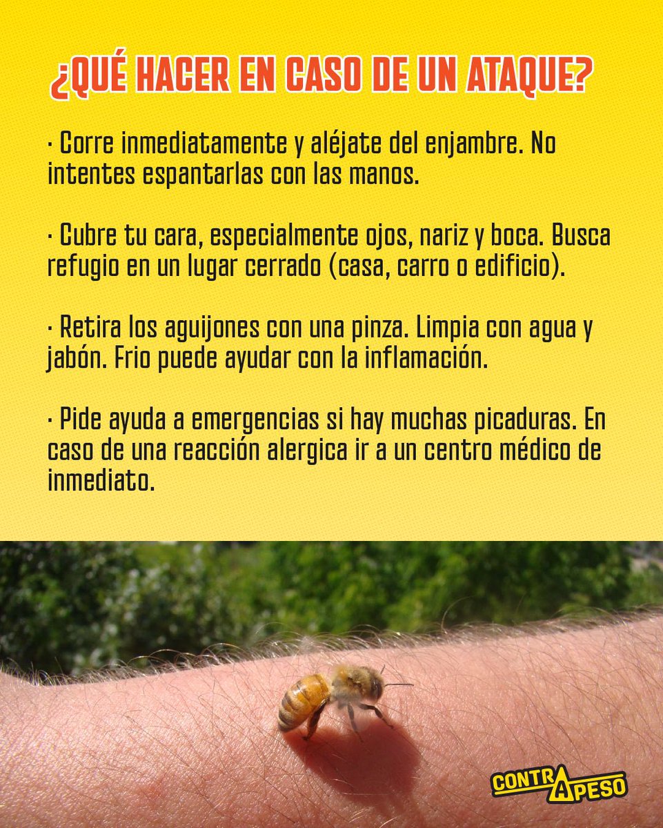 contrapesopanama tweet media