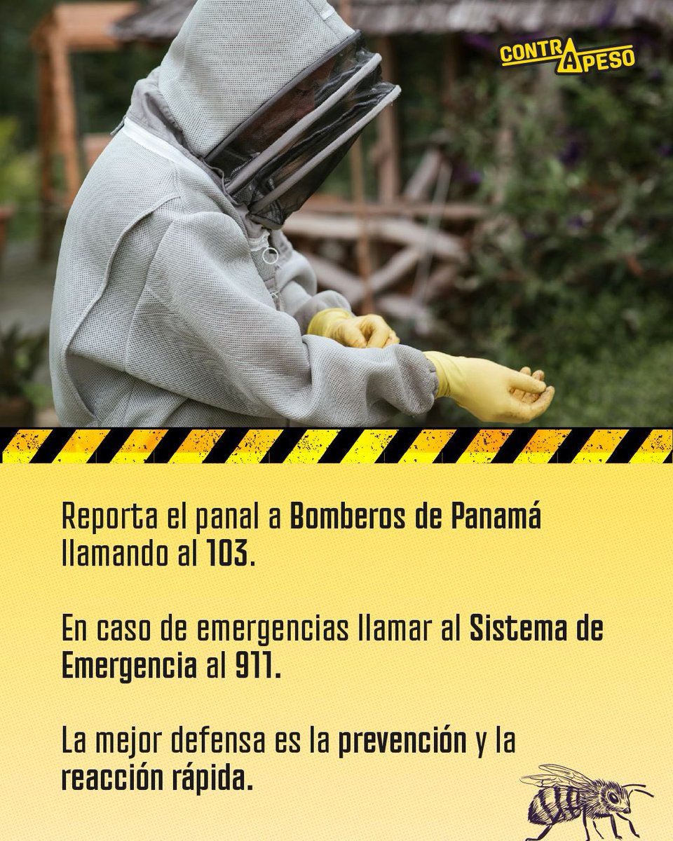 contrapesopanama tweet media