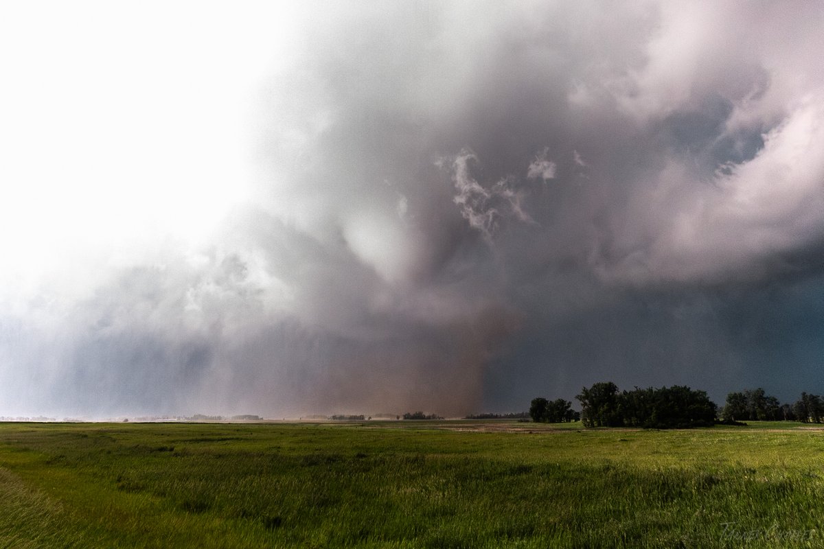 Tanner Charles 🌪 tweet media