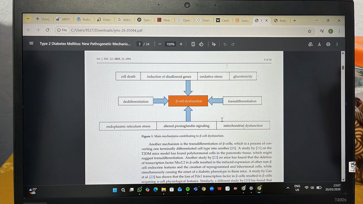 loui ✧.* tweet media