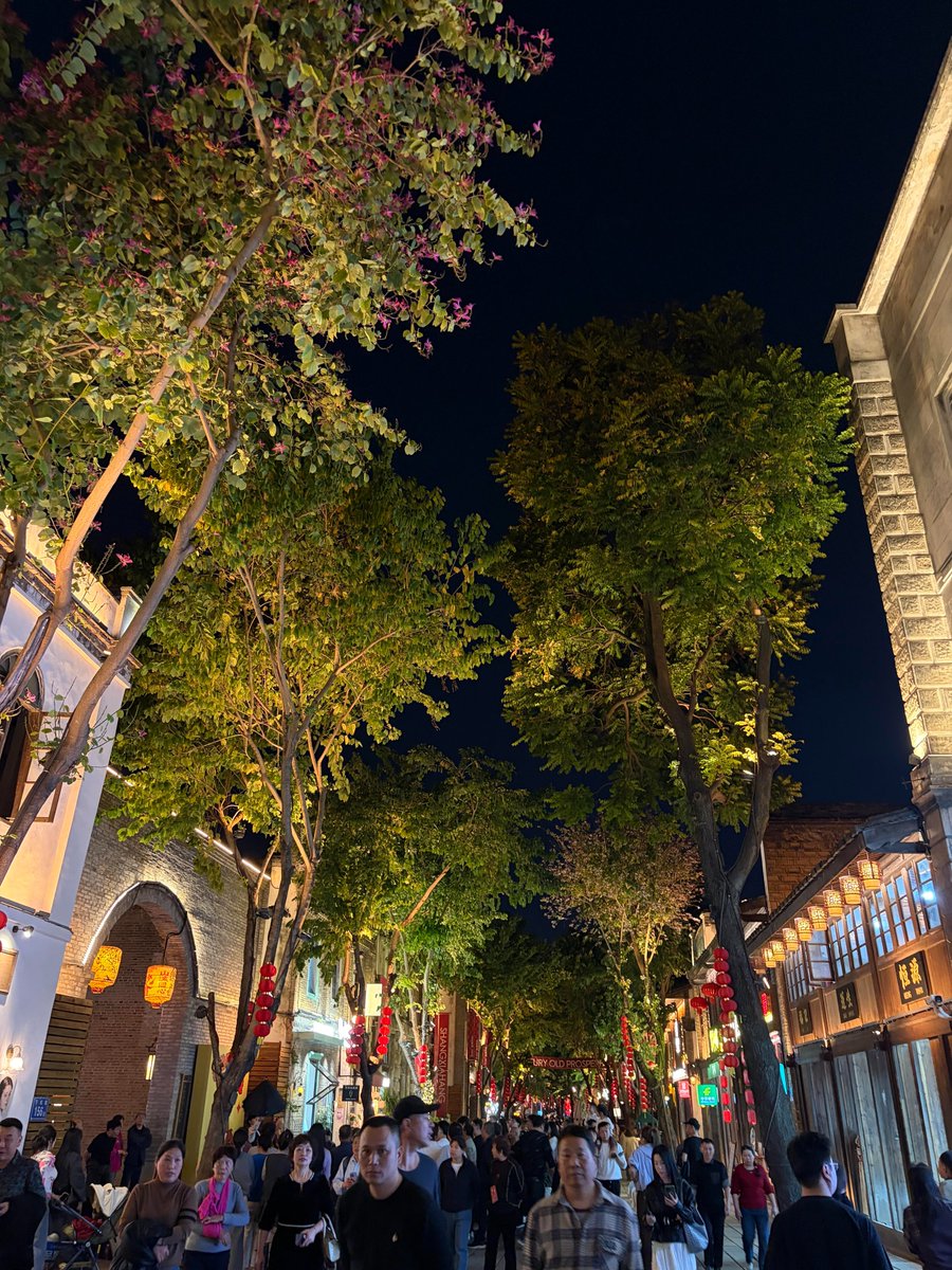 清风拂心弦 tweet media