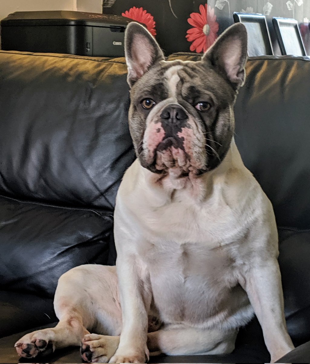 Ryan 'Stokie' Banks tweet media