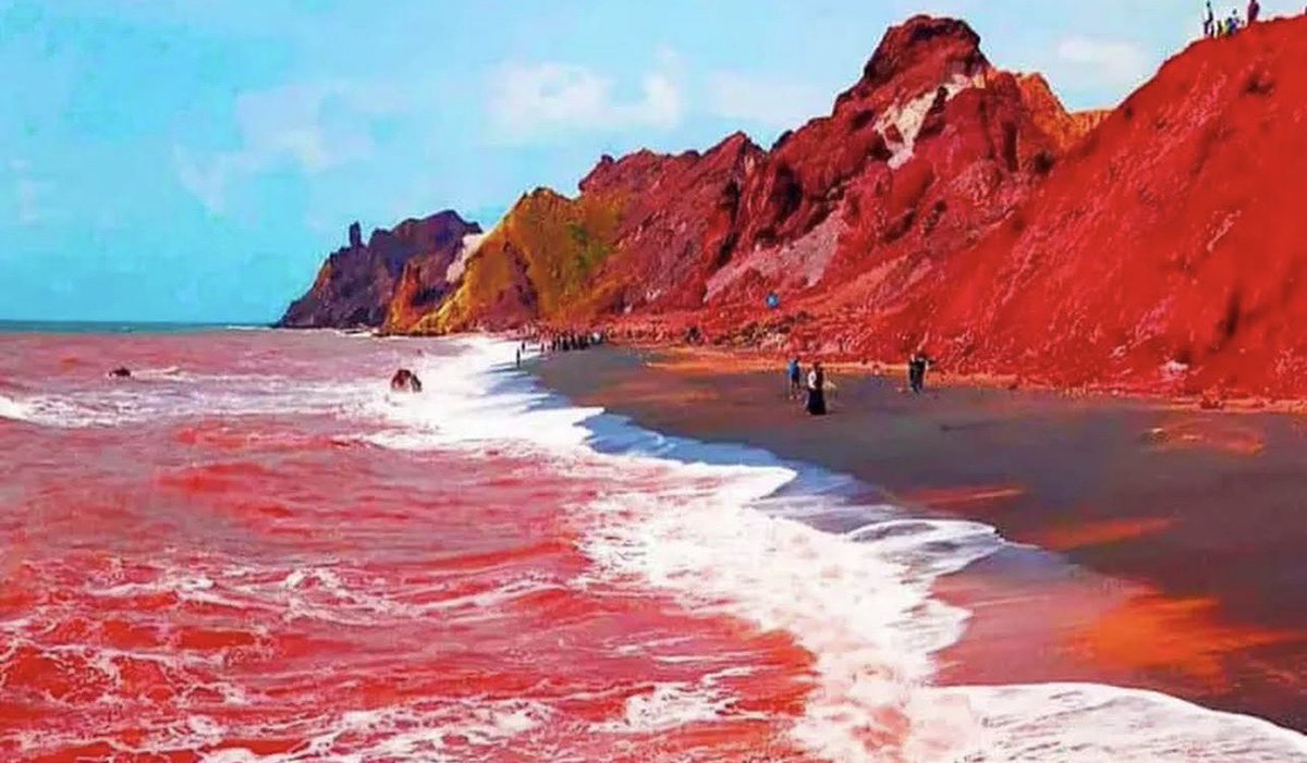 Eugeni Alemany tweet media