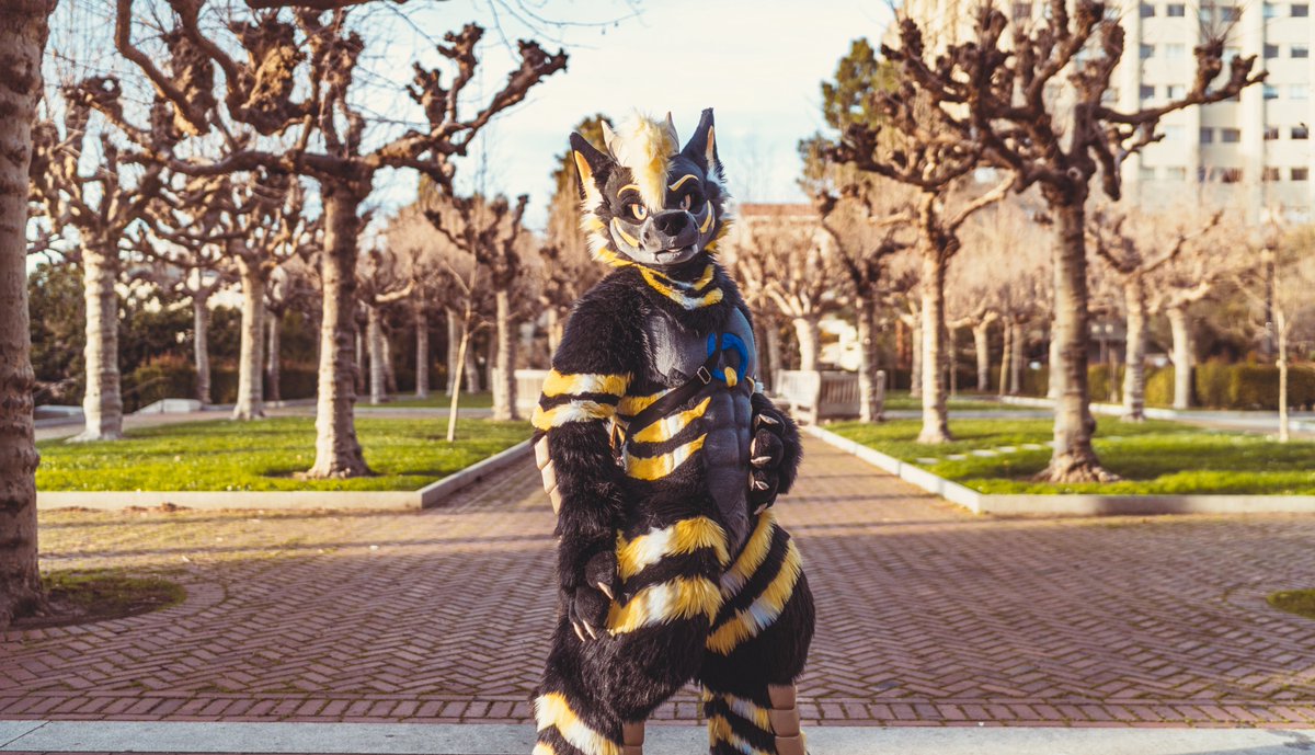 ✨ Lyte ✨ tweet media