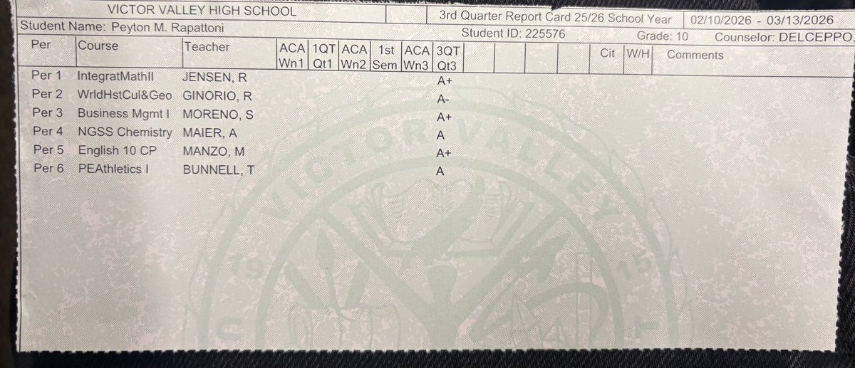 Peyton rapattoni tweet media