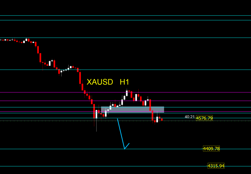 Majed .S tweet media