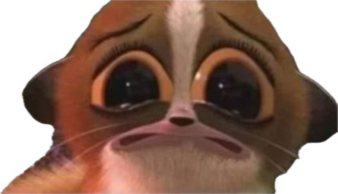 Soya🐢 Polytrix my beloveds tweet media