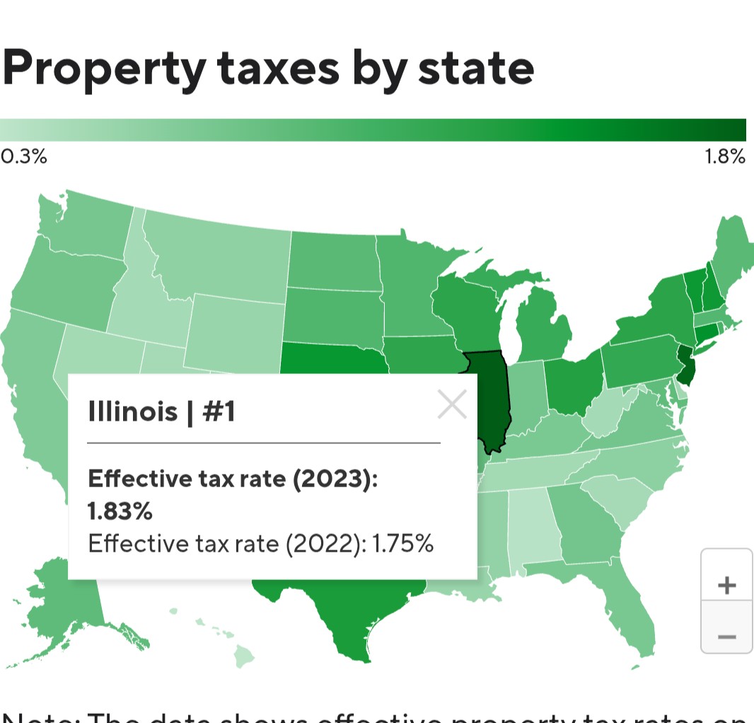 C.D.🌸 tweet media