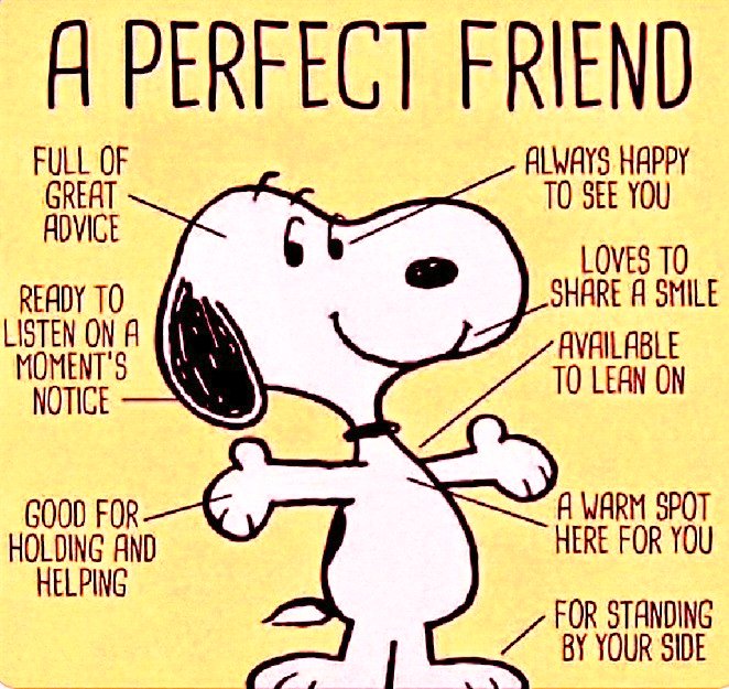 Eye AM👁️Ⓜ️ tweet media