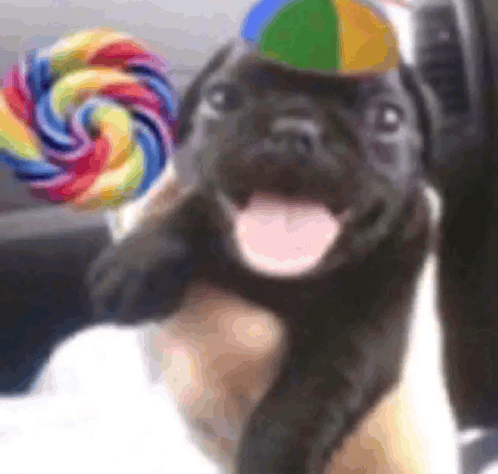 yuri ✸ tweet media