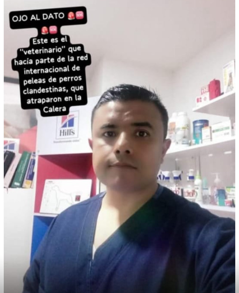 Orlando Beltrán Quesada Ⓥ 🐕🐐🐥🐓🐃🐎🐖🐂🐈 tweet media