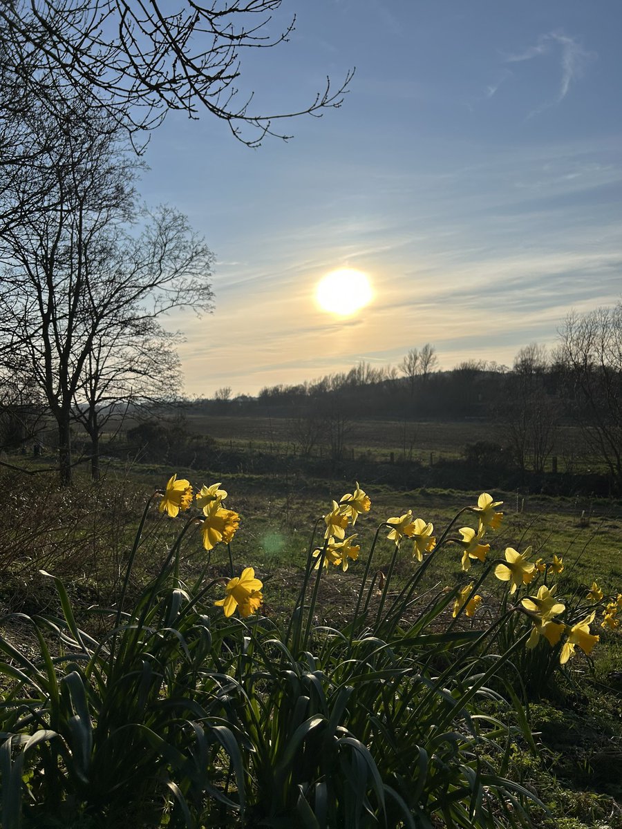 Michael Alexander tweet media