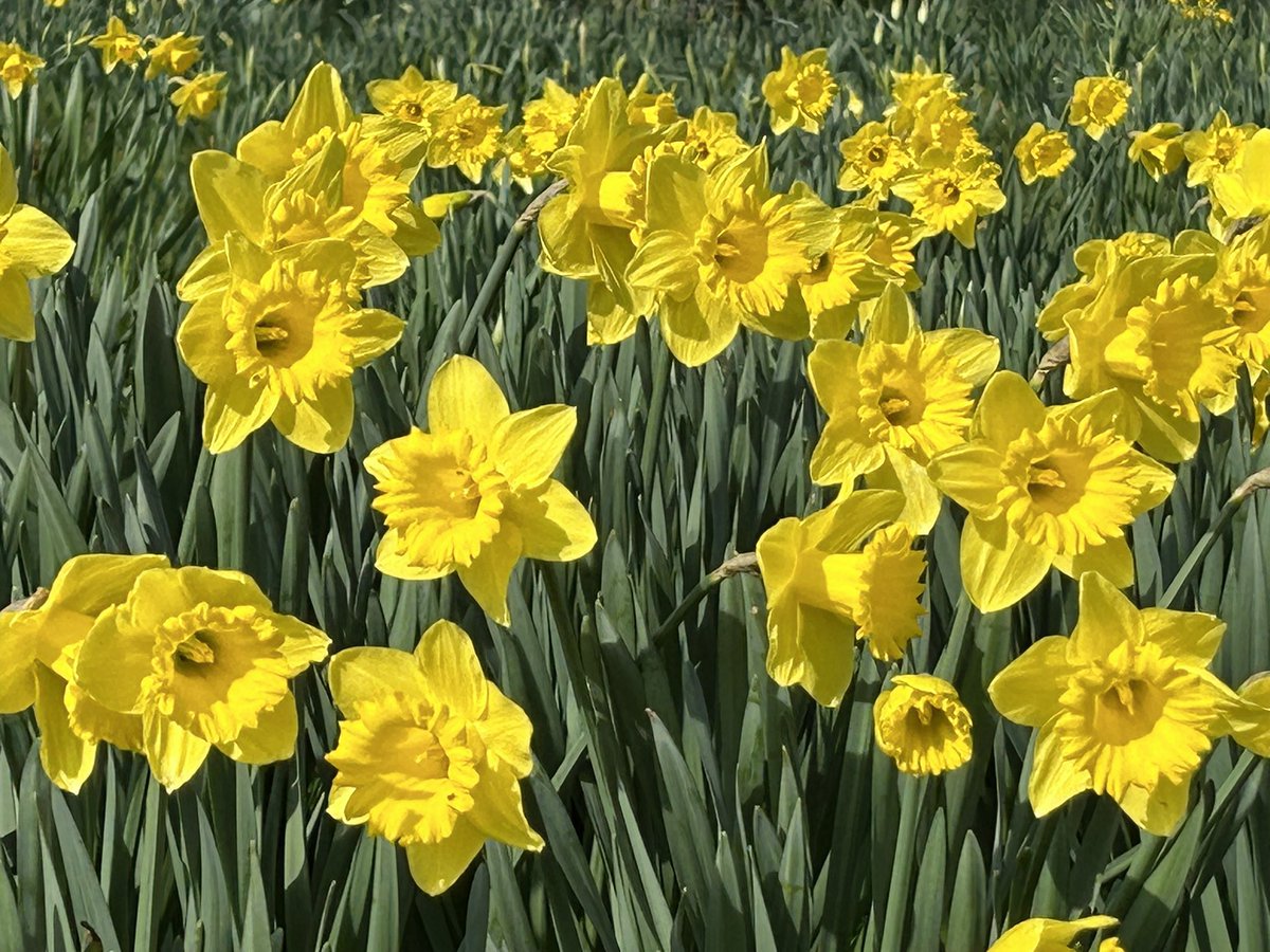 Michael Alexander tweet media