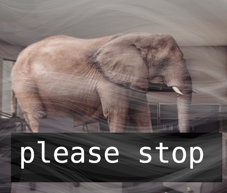 anonimo9031 tweet media