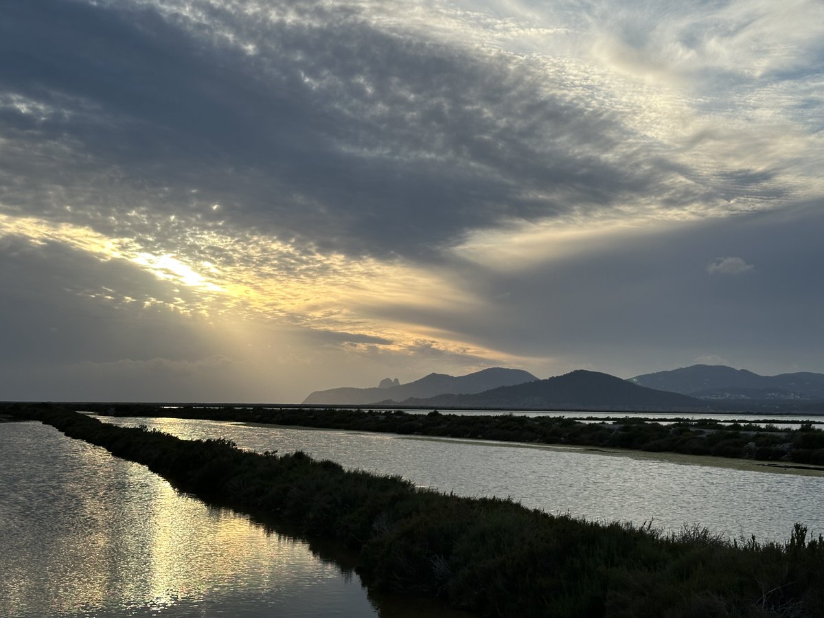 El temps IB3 tweet media