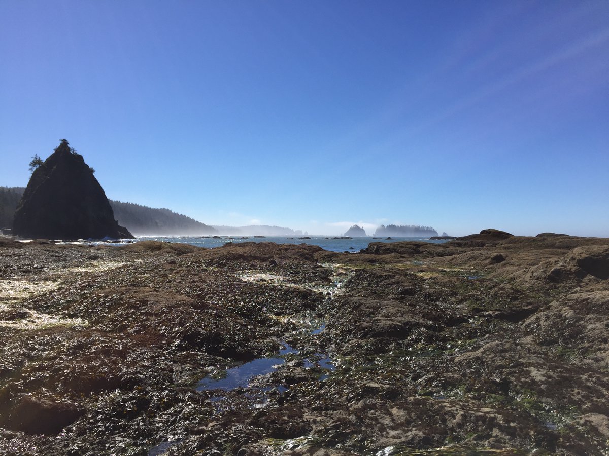 Theodore Landgraf tweet media