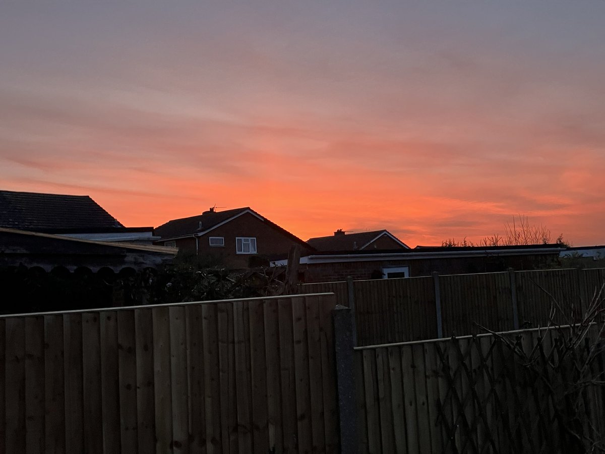 Peter Maurice 💙 tweet media