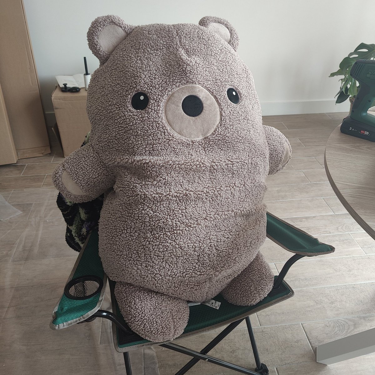 MANGO🥭🐥 Birbtuber ✨ tweet media