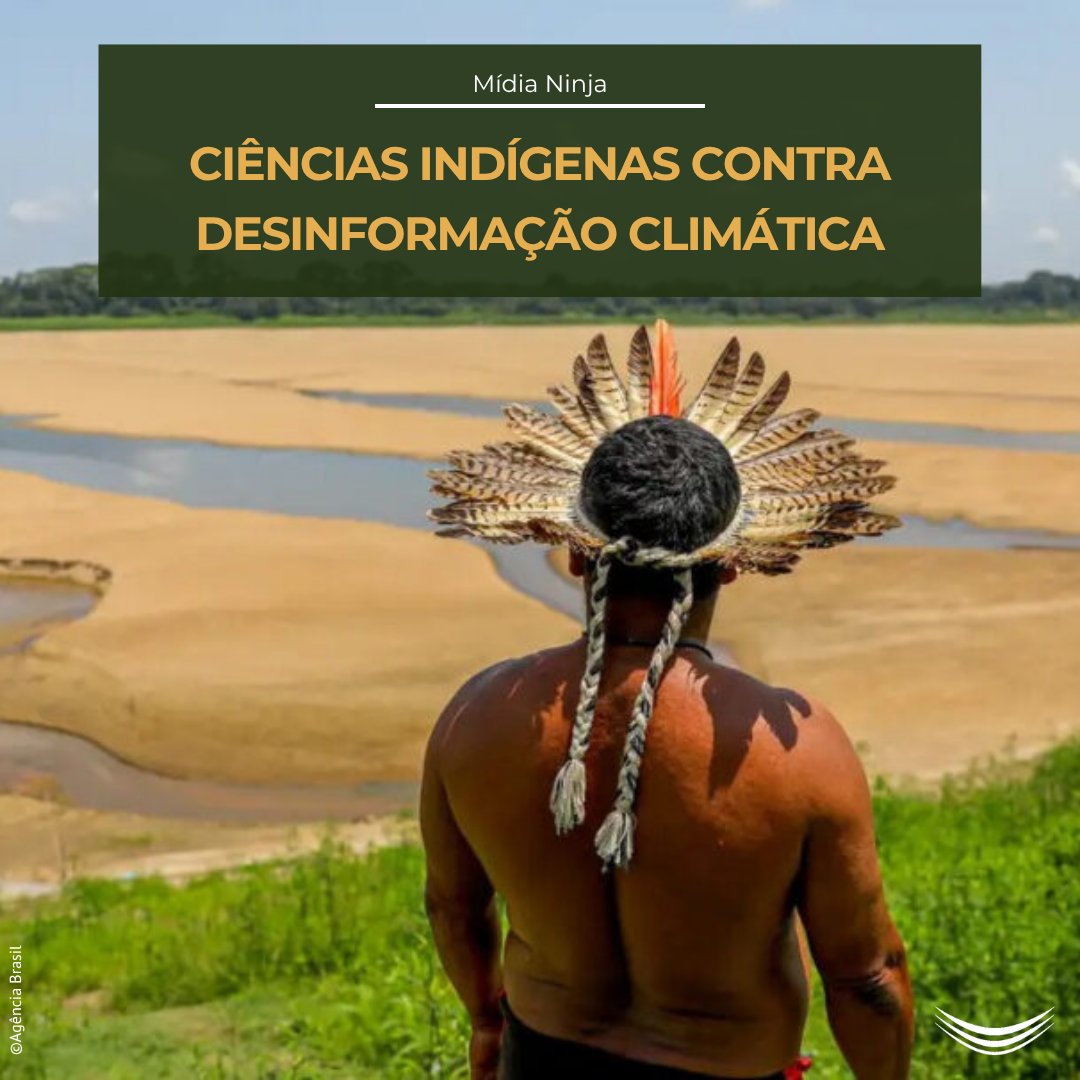 Comissão Pró-Índio de São Paulo tweet media