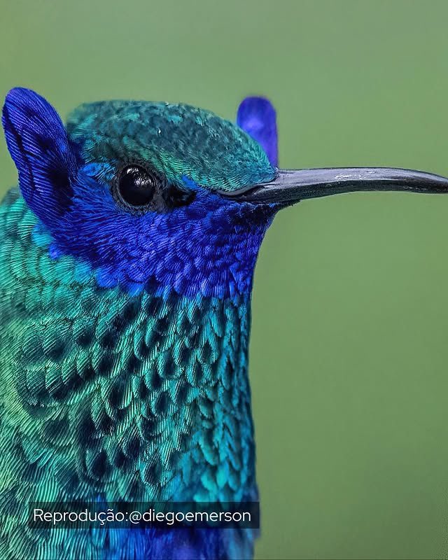 Earth’s Beauty tweet media