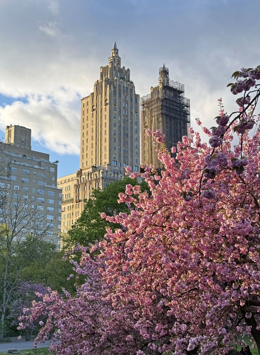 MISA_Careers's tweet image. Spring is finally here! Wishing everyone a Happy 1st Day of Spring.

#1stDayOfSpring