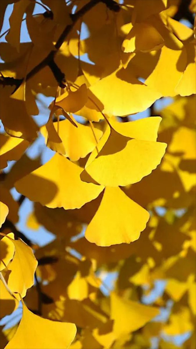 christian baquero tweet media