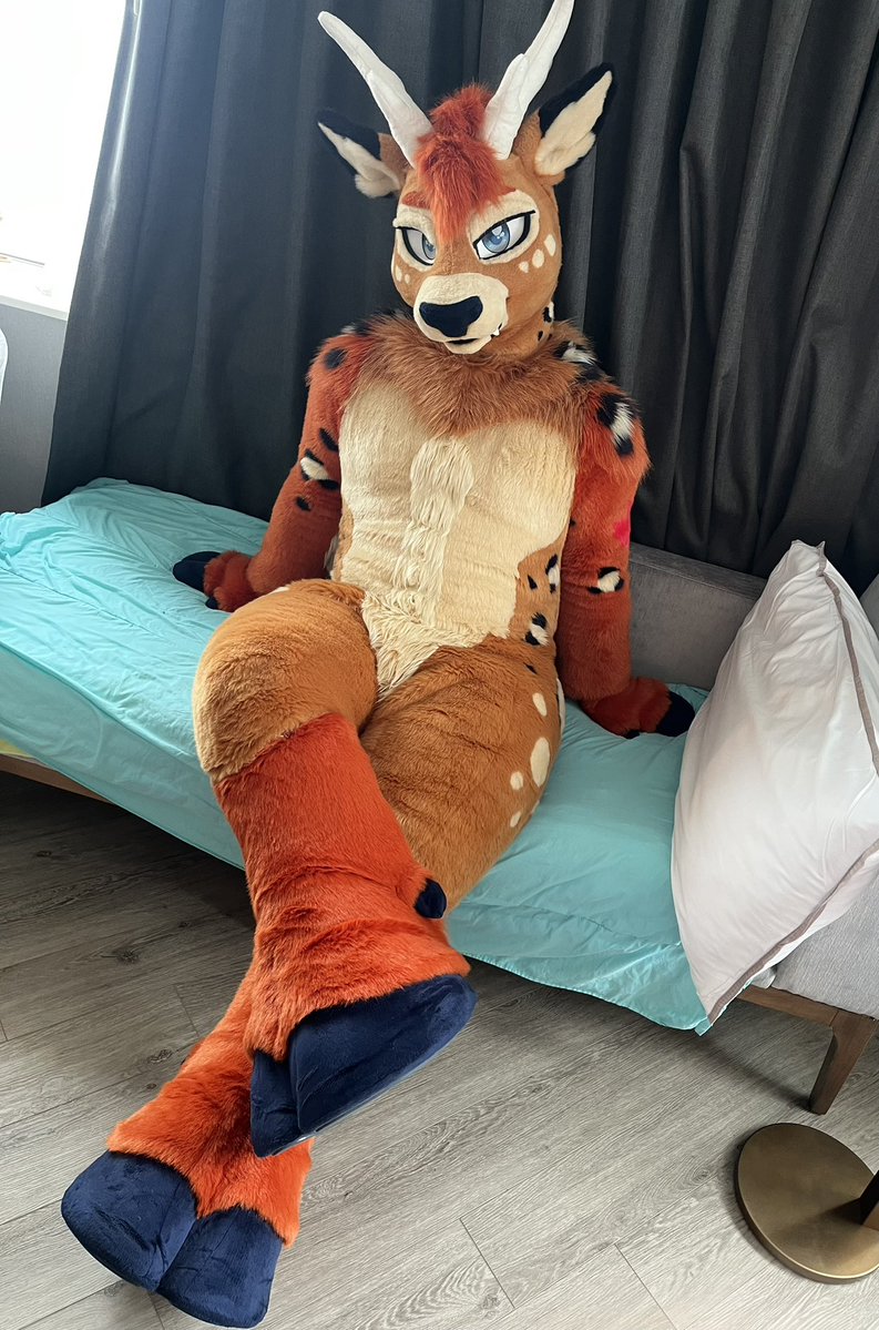 Farley Fella 🍁🔜 FE / FWA / AC / CanFUR / MP tweet media