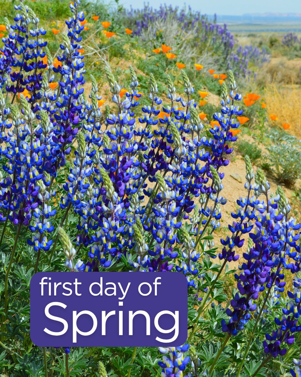 CA State Lands tweet media