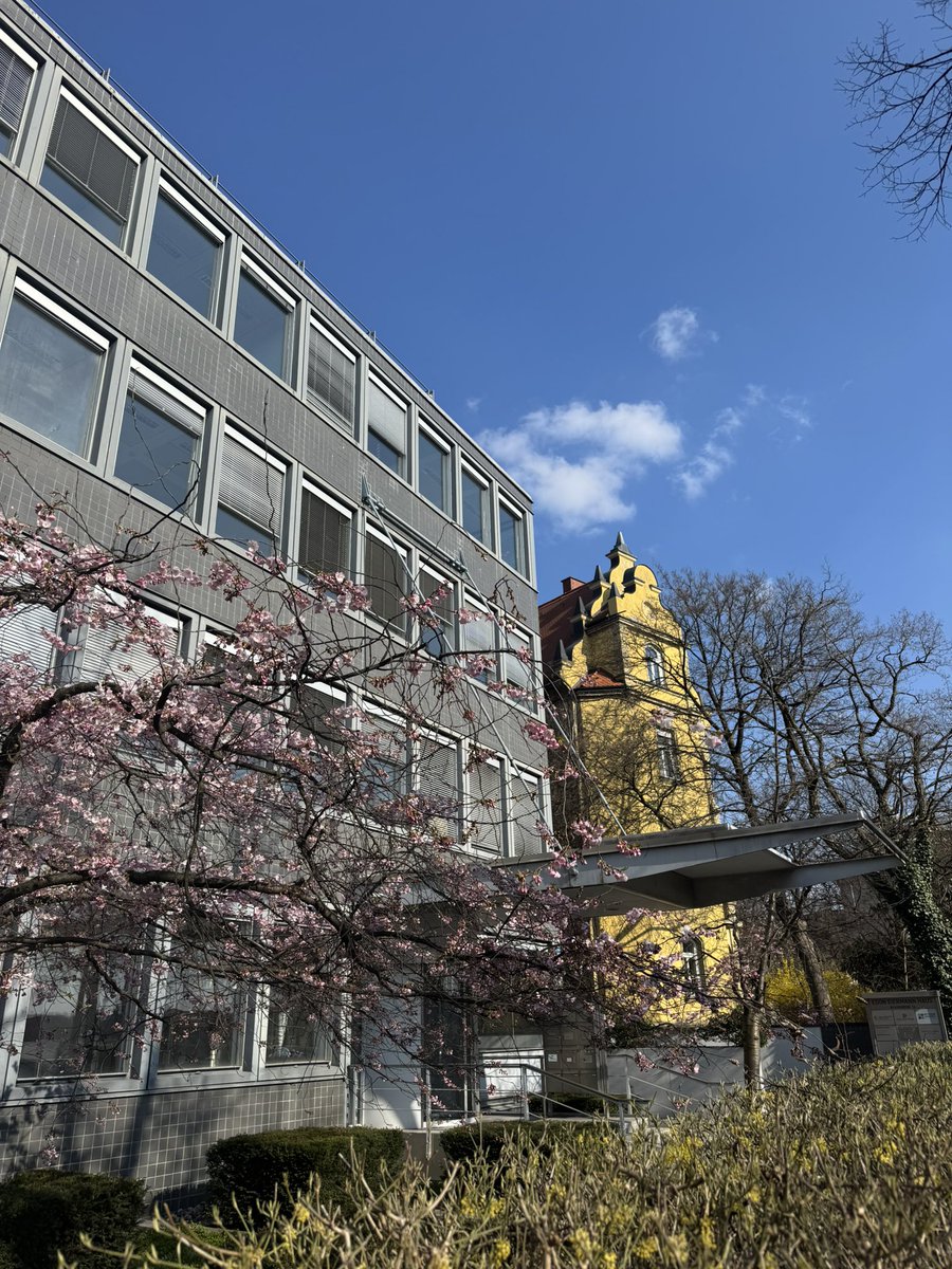 Electric AI Sheep Herder near the Alps tweet media