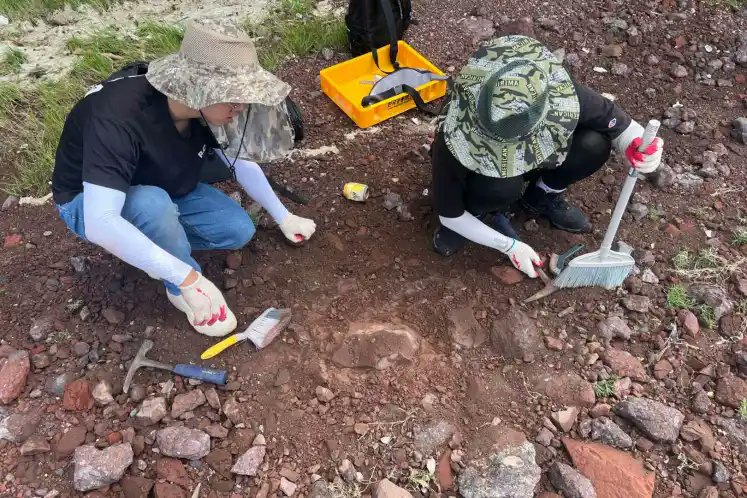 FundaciónDinosaurios tweet media