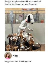 Dat Dark Dragon ❌❌ tweet media