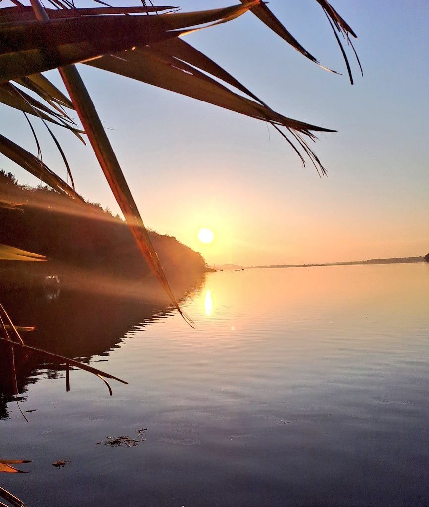 Cian McCarthy tweet media