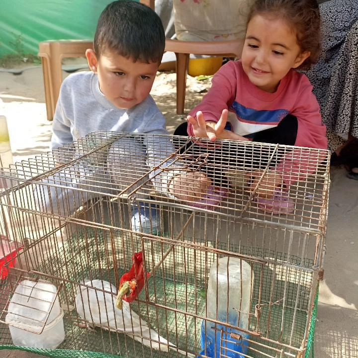 alia elhayek tweet media