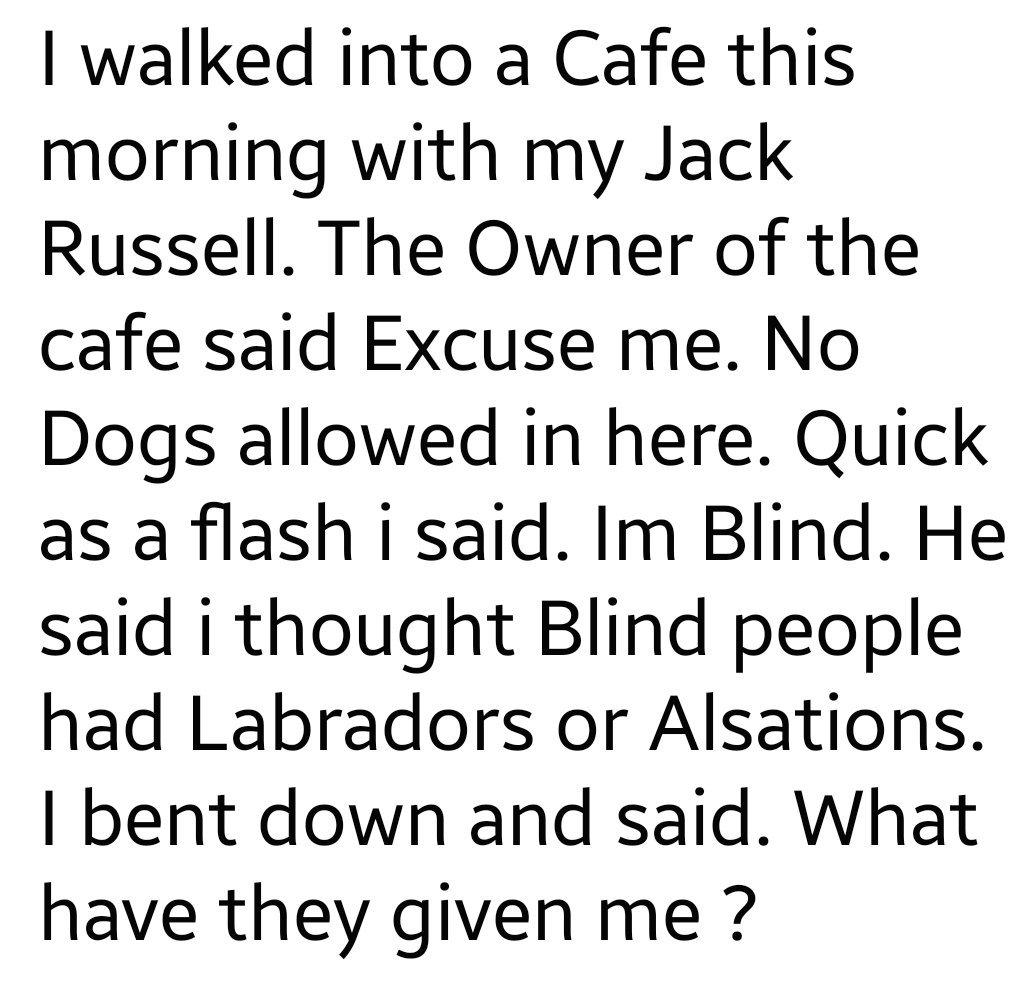 Dog Owners Worldwide tweet media