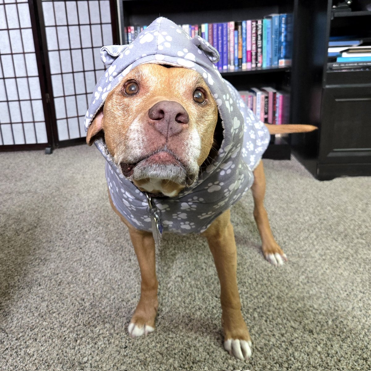 K. Aten 🤖Read, review, repeat🤖 tweet media