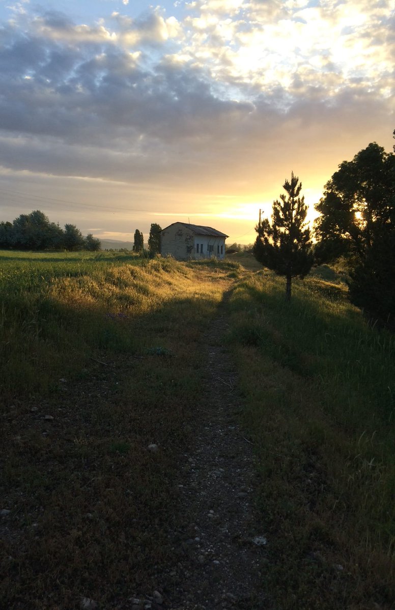 Dr. Gülümser Heper tweet media