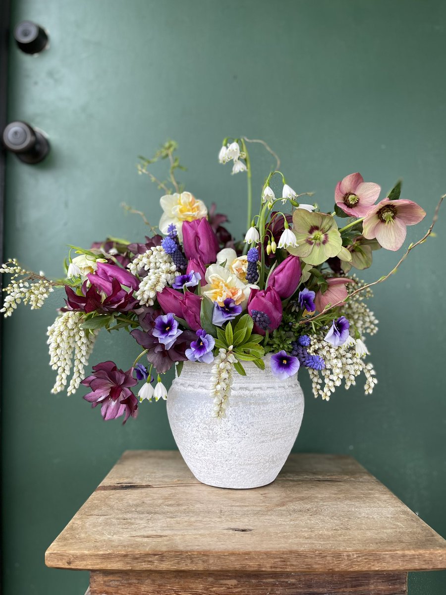 Bryony Ellis ⊙⊝⊜ tweet media