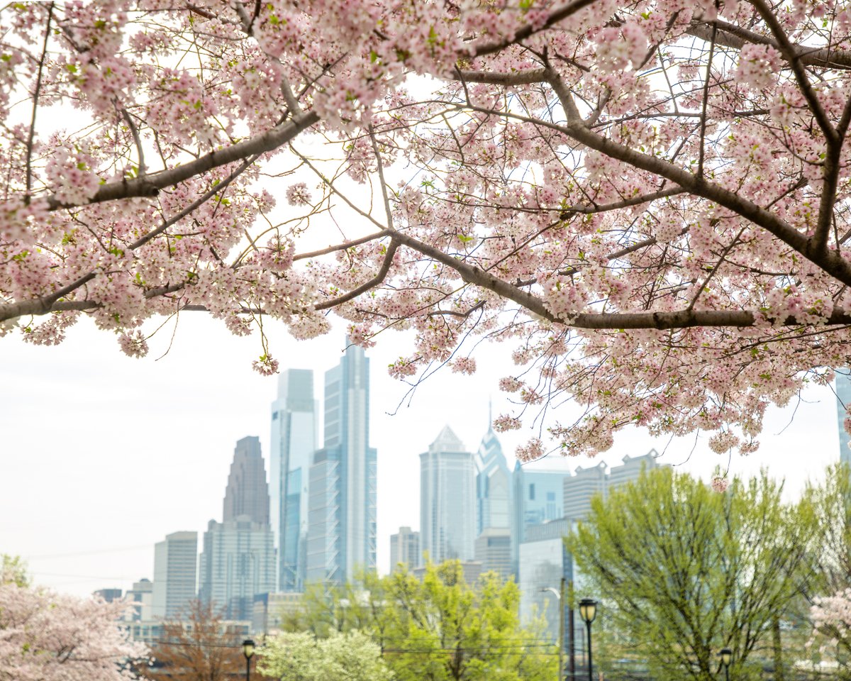 City of Philadelphia tweet media