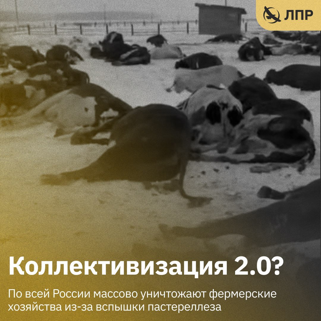 Либертарианская партия России | ЛПР tweet media