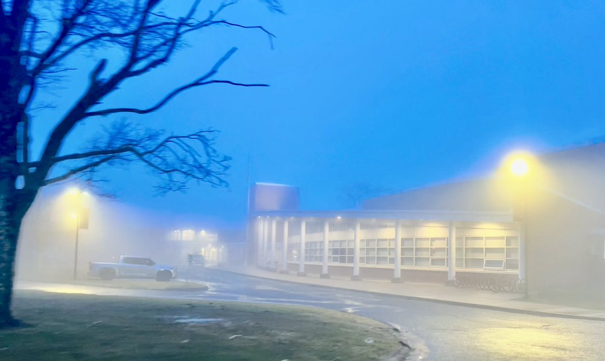 David Gusitsch tweet media