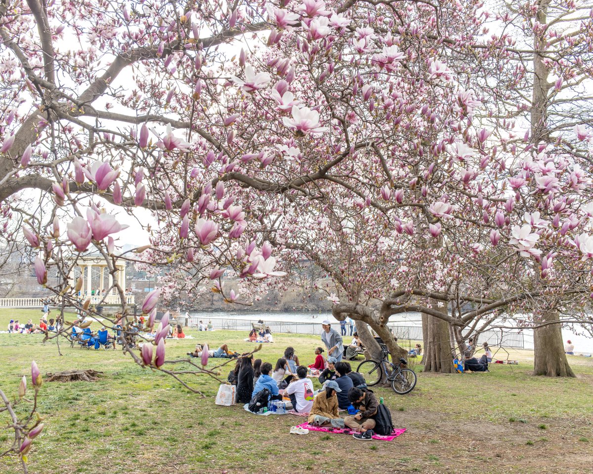 City of Philadelphia tweet media