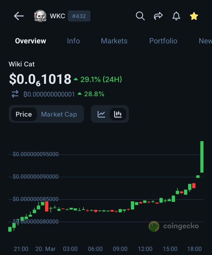 Mr Grace Clinton tweet media