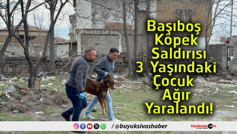 Prof. Dr. Ali Keskin tweet media