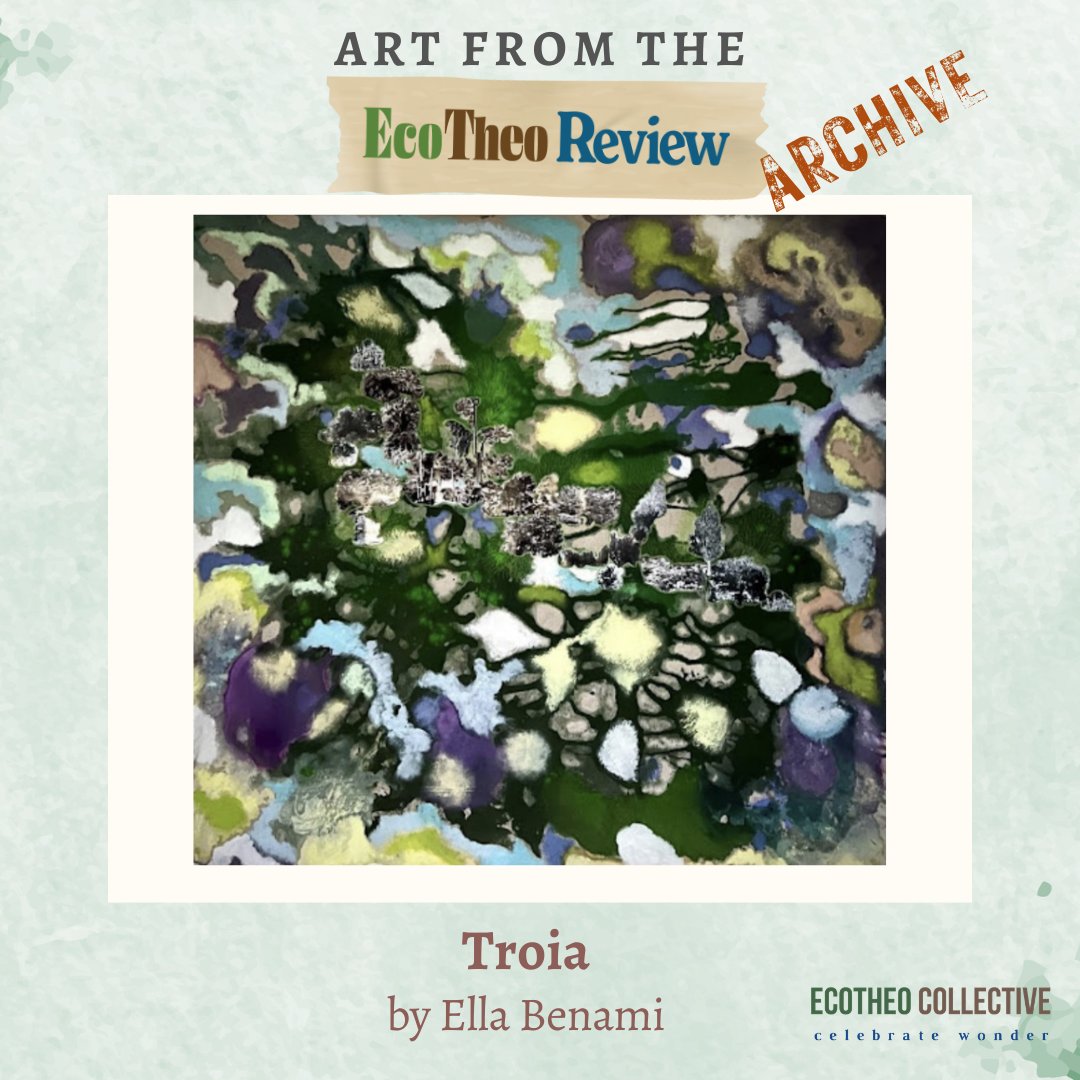 EcoTheo Collective tweet media