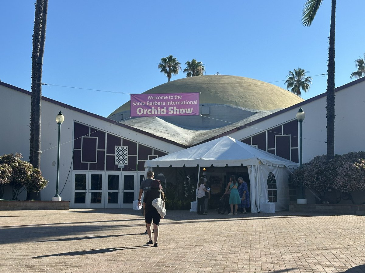 Dave's Travel Corner tweet media