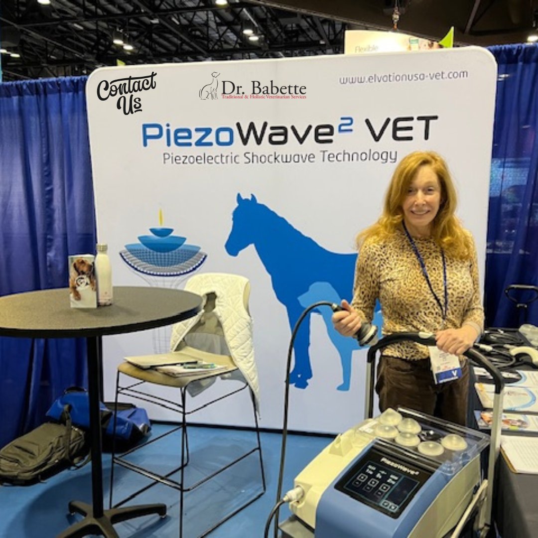 BabetteTheVet's tweet image. 🐾 NYC Dog Parents —

The best vet care isn’t just medical—it’s emotional.

At Babette the Vet, we prioritize how your dog feels, not just how they heal. 💙

Because trust is everything.

🚨 Now accepting new NYC patients
👉 bit.ly/3JLKx6e
#babettethevet #nycdogs #Dog