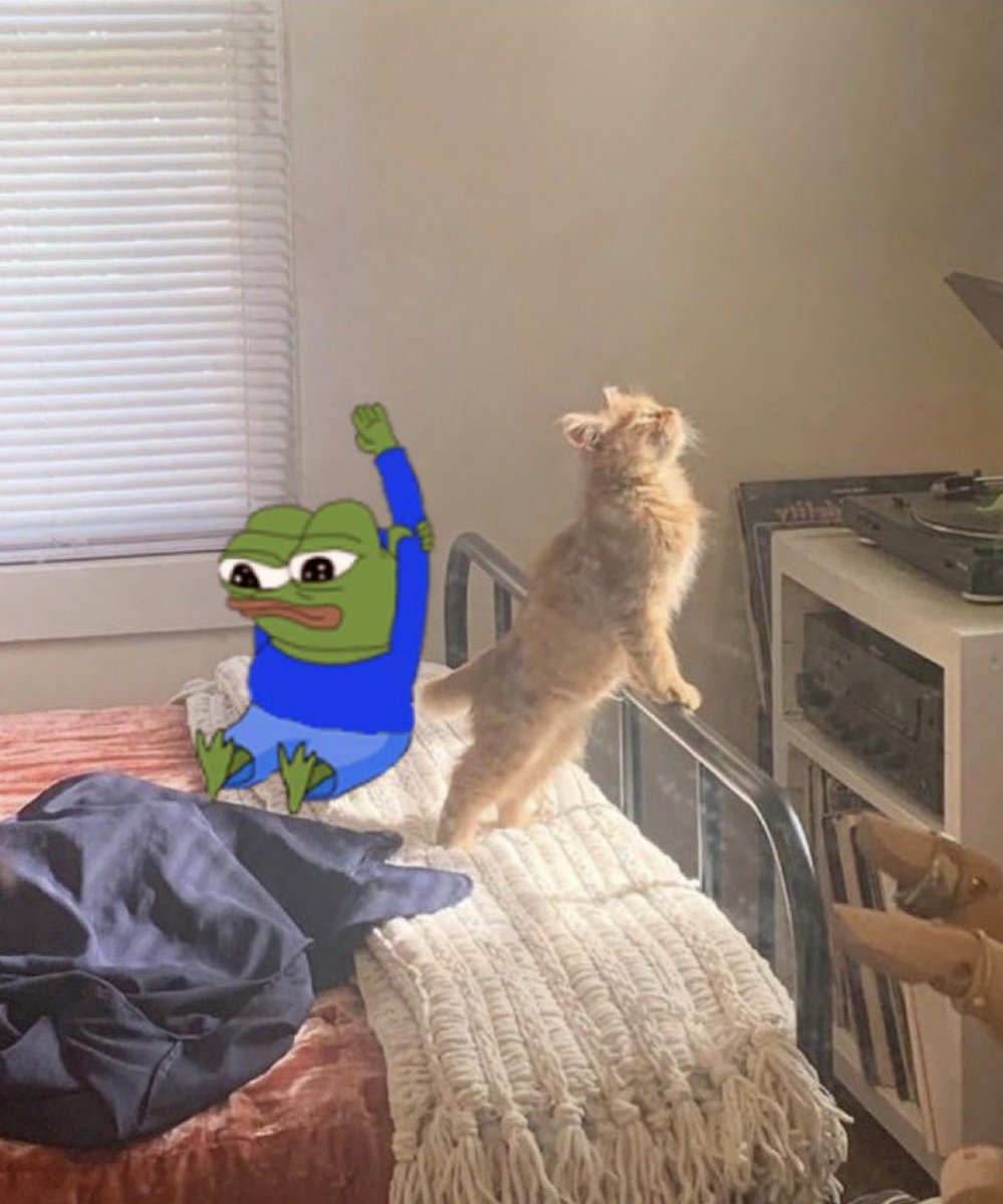 Zach Rynes | CLG tweet media