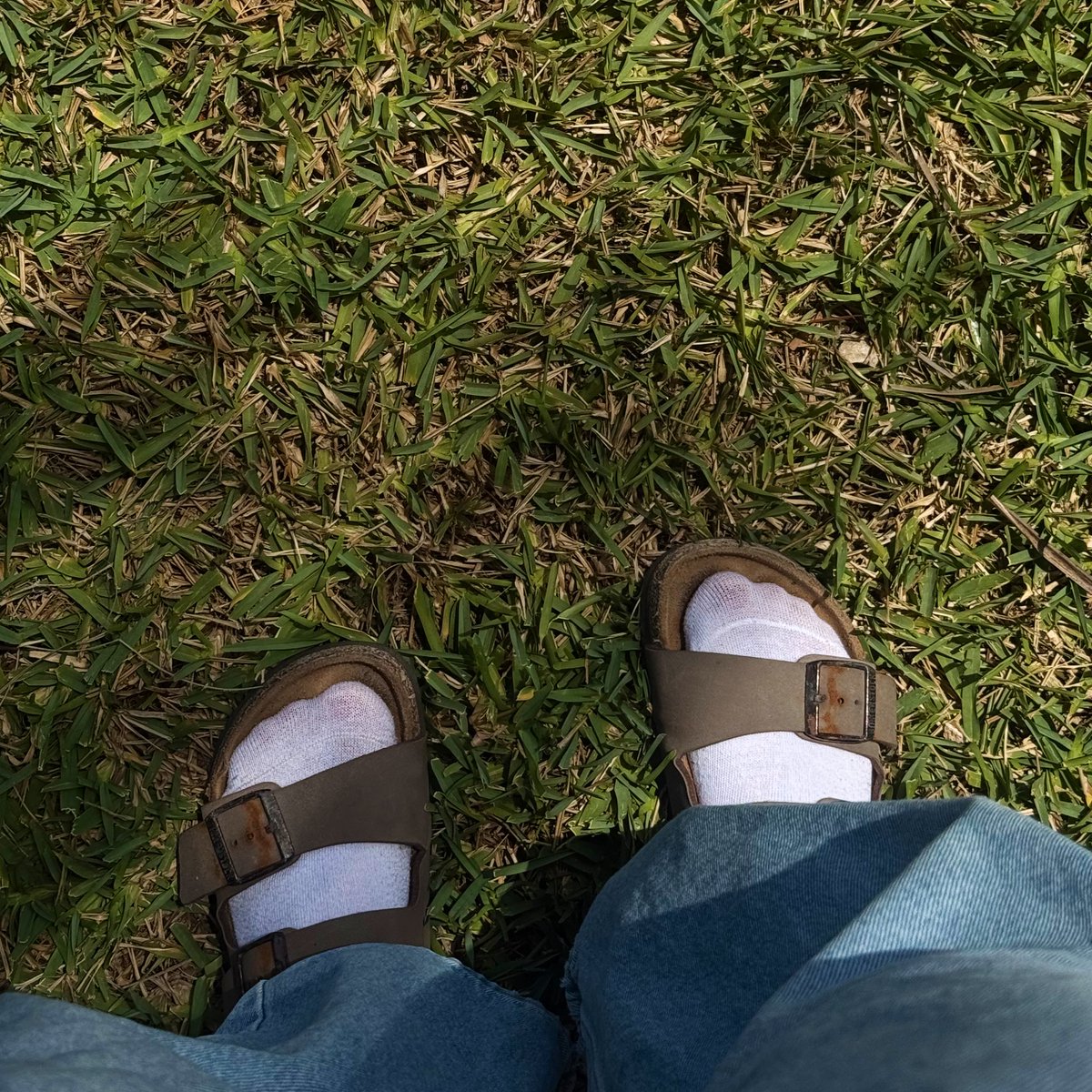 isa⚡️ tweet media