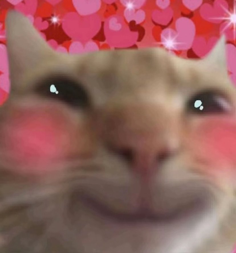 🍫🤍❤️S'mone❤️🤍🍫 tweet media